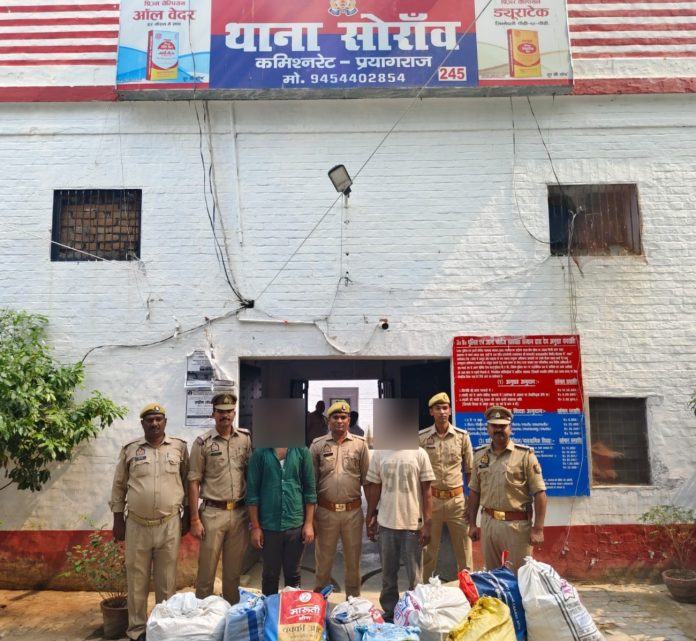 प्रयागराज सोरांव गांजा बरामद